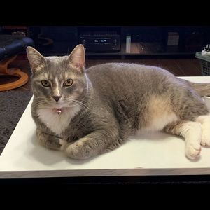 Meet your Posher, Karen